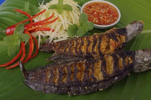 Anh nông dân kiếm bộn tiền nhờ nuôi con 'chôn trong đất vẫn sống'