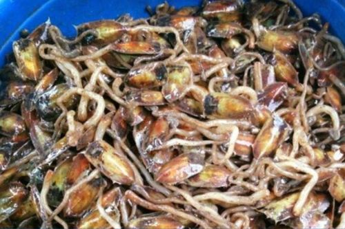 Đặc sản chỉ có tại Hải Phòng, xưa đầy không ai biết giờ được 'săn lùng', 150.000 đồng/kg