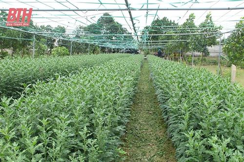Trang trại hữu cơ không rác thải