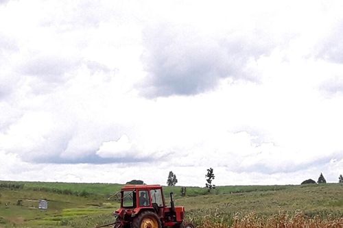 Chủ động sản xuất vụ mùa thích ứng với biến đổi khí hậu