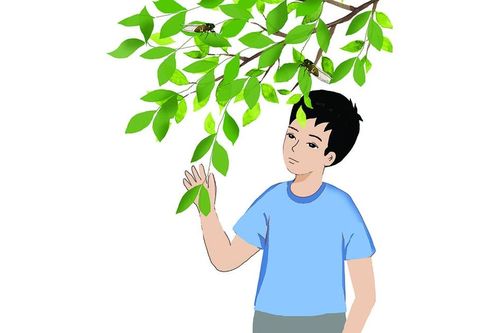 Thơ Tạ Văn Sỹ: Tiếng ve