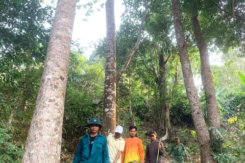 Gia Lai căng mình ngăn lửa, giữ rừng