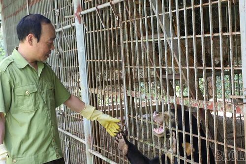 Thăm động vật hoang dã trong 'ngôi nhà hạnh phúc' ở Sa Pa