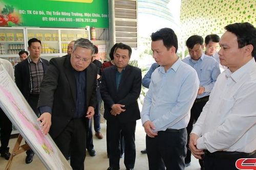 Quản lý, sử dụng đất đai có nguồn gốc nông, lâm trường - Kỳ II: Cần những giải pháp đồng bộ