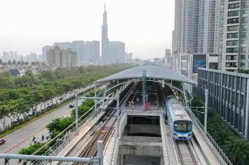 Di dời gần 200 cây xanh làm dự án kết nối Metro