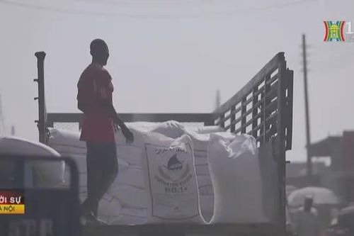 FAO cảnh báo về khủng hoảng lương thực trầm trọng ở Sudan