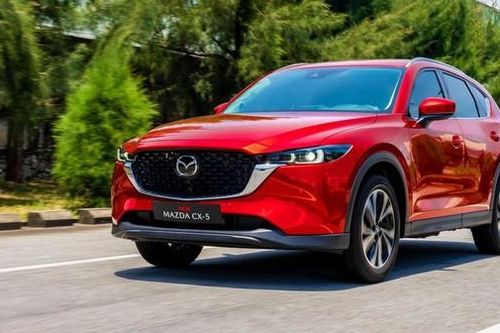 Có 900 triệu chọn mua xe gầm cao nào đẹp, hợp lý?