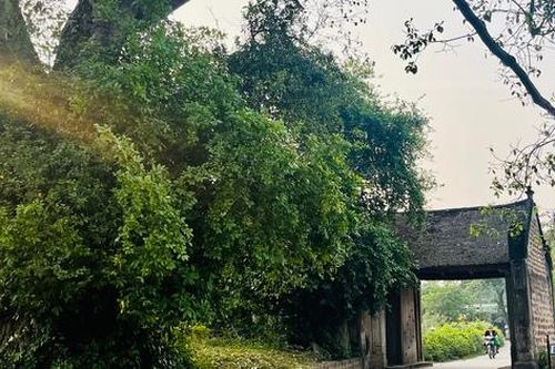 Mê mẩn trước cảnh yên bình tại làng cổ ngoại thành Hà Nội