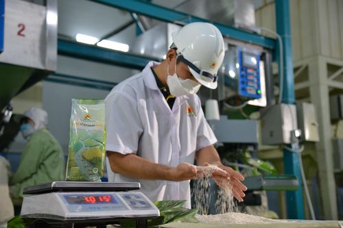 Tập đoàn Lộc Trời lỗ cả trăm tỷ đồng quý đầu năm