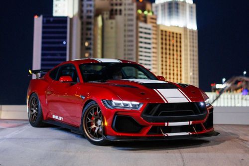 Shelby Super Snake 2024 - 'siêu rắn' mạnh hơn 840 mã lực