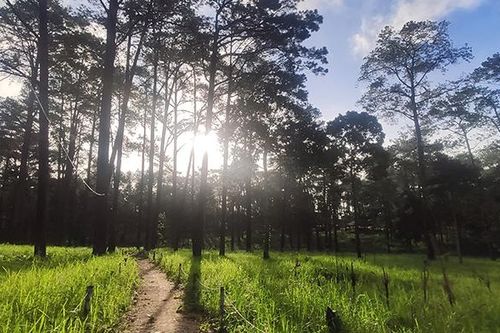 Lãnh đạo Việt Nam gửi điện thăm hỏi về vụ nổ kho đạn tại Campuchia