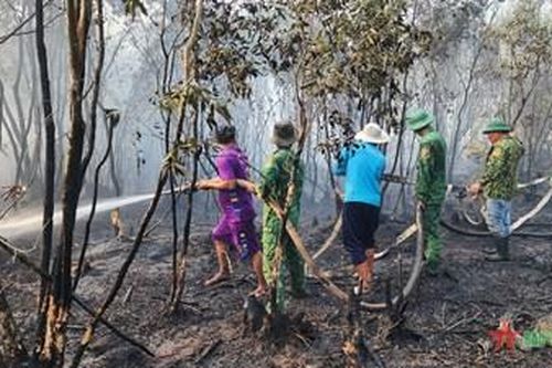 Kiên Giang: Gần 100 cán bộ, chiến sĩ tham gia chữa cháy rừng
