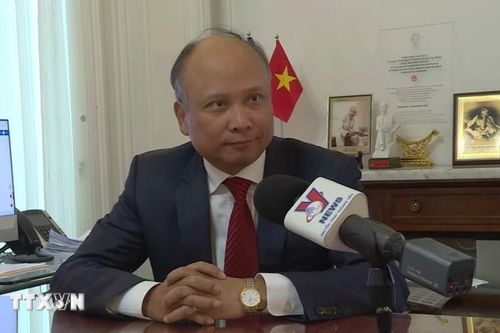 Củng cố nền tảng cho sự phát triển sâu rộng mối quan hệ với OECD và Pháp