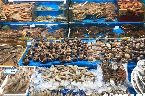 Thanh Hóa: Dịp lễ 30/4 - 1/5, giá hải sản tăng chóng mặt