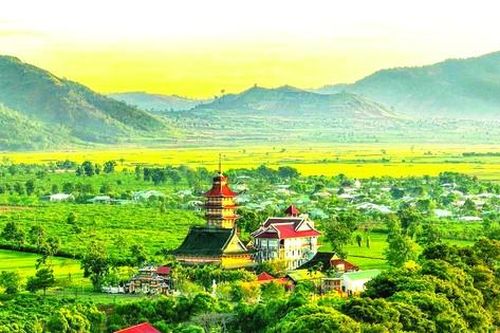 Đất trời 'hội tụ' bên đồi chè cổ thụ