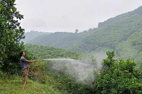 Nắng nóng đỉnh điểm, nông dân vất vả 'làm mưa' chống hạn cho cây trồng