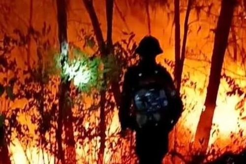 Rừng ở Nghệ An cháy rực, hàng trăm người dập lửa từ sáng đến đêm