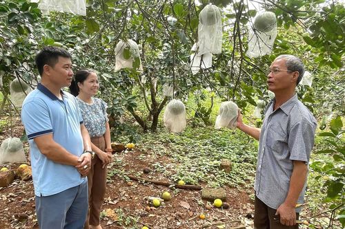 Sáng ngời tấm gương thương binh 'tàn nhưng không phế'