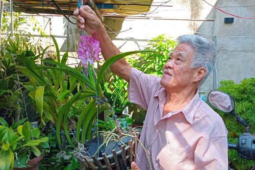 Cha con ở hai đầu chiến tuyến và cuộc đoàn tụ đầy cảm xúc ngày hòa bình