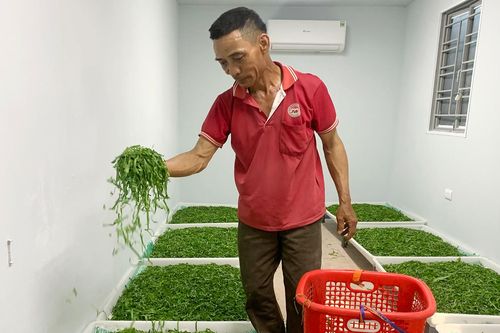 Nuôi loài nhạy cảm, 'khó chiều' trong phòng điều hòa, nông dân ở Nghệ An đổi đời