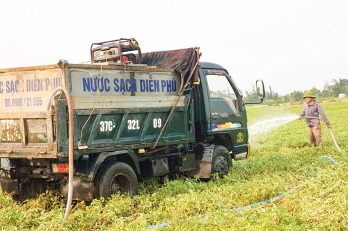 Nắng hạn, nông dân Diễn Châu mua nước tưới ruộng trước khi thu hoạch lạc