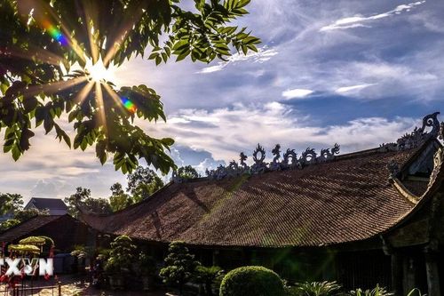 'Từ Trà Cổ rừng dương đến Cà Mau rừng đước'