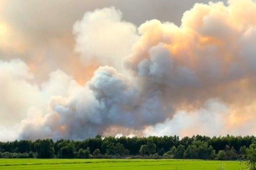 Kiên Giang: Đã khống chế được vụ cháy rừng tràm ở Giang Thành