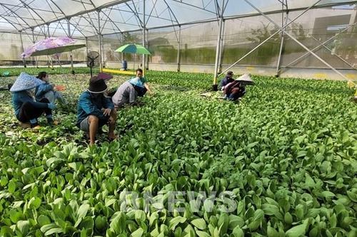 Phát triển kinh tế tập thể, hợp tác xã thông qua các chính sách thuế