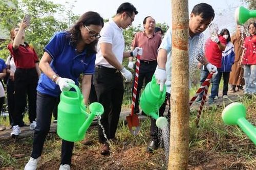 Trồng 1.000 cây hoa ban tri ân mảnh đất Điện Biên