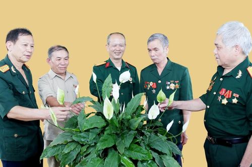 Lào Cai trong Đại thắng mùa Xuân 1975