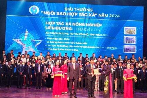 HTX nông nghiệp Liên Dương: Ngôi sao Hợp tác xã năm 2024