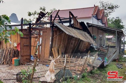 Cảnh báo giông lốc, gió giật mạnh trên địa bàn tỉnh Sơn La