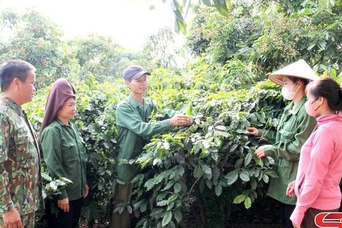 Mỗi bản một mô hình kinh tế