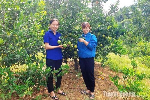 Đồng hành cùng thanh niên lập thân, lập nghiệp