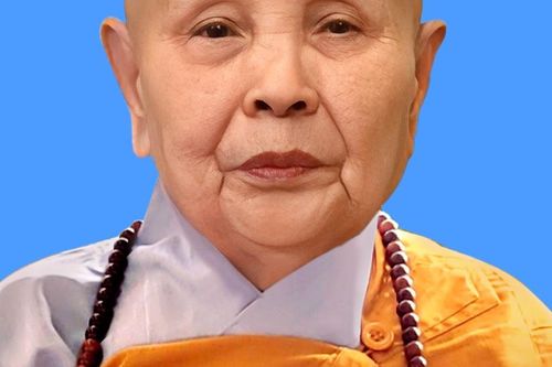 Ni trưởng Thích nữ Như Ý - Chứng minh Phân ban Ni giới TP.HCM viên tịch