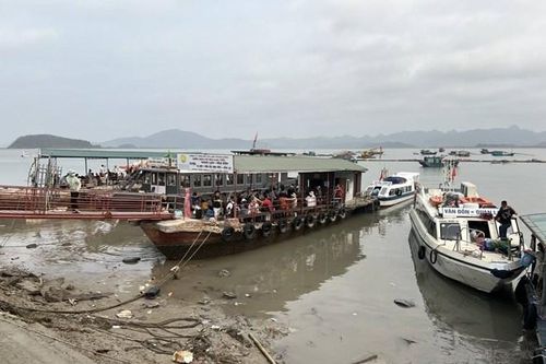 Quảng Ninh: Huyện Vân Đồn bàn giải pháp đưa đón khách du lịch đến đảo Quan Lạn khi mực nước thủy triều xuống thấp