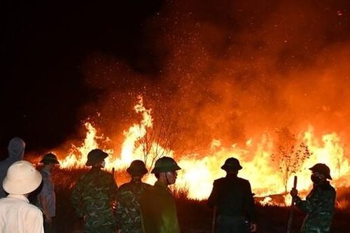 Quảng Bình: Huy động hàng trăm cán bộ, chiến sĩ chữa cháy rừng ven biển