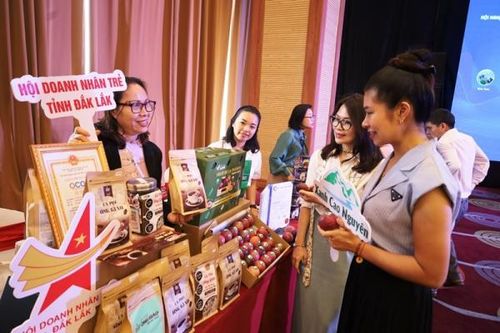 Doanh nghiệp Việt phải làm gì trước quy định chống phá rừng của EU?