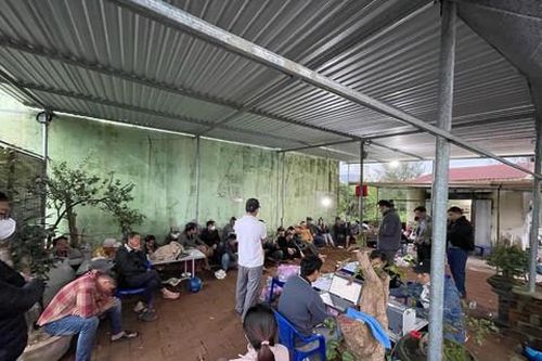 Bắt giam thêm 1 đối tượng vụ phá trường đá gà lớn tại quán cà phê