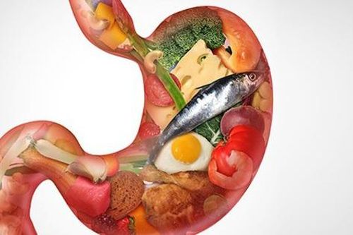 Vì sao cơ thể cần enzyme để tiêu hóa thức ăn?