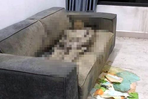 Thông tin mới nhất về danh tính cô gái chết khô trên sofa ở Hà Nội