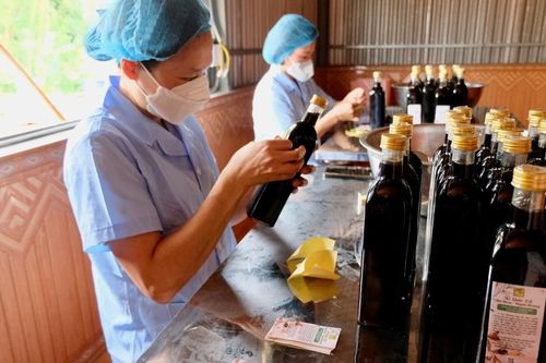 Liên kết phát triển sản phẩm thảo dược tại huyện Sóc Sơn