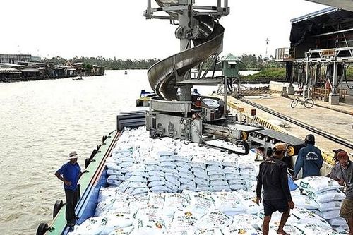 Việt Nam đang dư thừa 1,2 tấn phân ure và 1,1 tấn phân lân mỗi năm