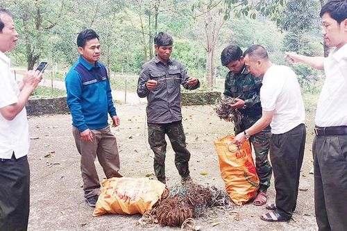 Bảo vệ động vật hoang dã ở Khu bảo tồn thiên nhiên Đakrông