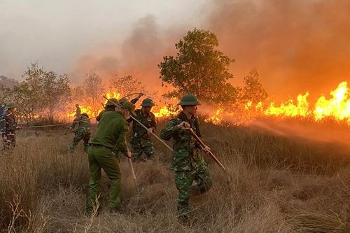 Quảng Bình huy động các lực lượng dập tắt nhiều vụ cháy rừng