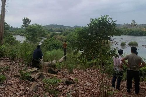 Gia Lai: Một ngày 4 người tử vong do đuối nước trên sông Pô Cô