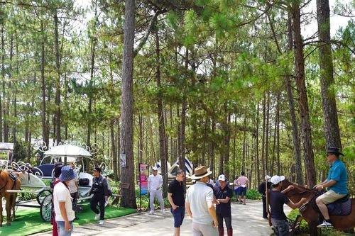 Du khách đến Đà Lạt, Khánh Hòa dịp lễ tăng hơn 30% so với cùng kỳ năm 2023