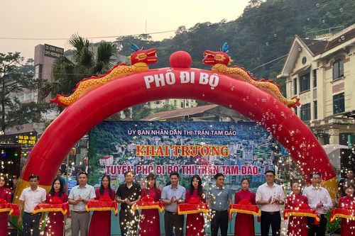 Hàng nghìn người đổ về phố đi bộ đầu tiên ở Tam Đảo trong ngày khai trương
