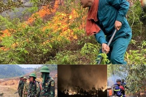 Hàng trăm người xuyên đêm chữa cháy rừng ở Nghệ An
