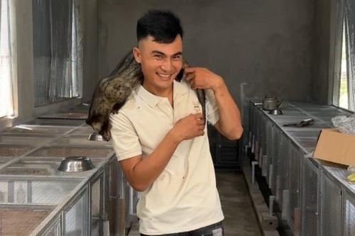 9x bỏ phố về quê mở trang trại tiền tỉ nuôi chồn hương